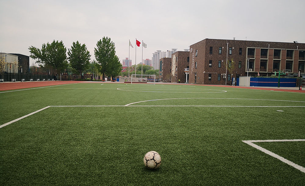 东校区操场及教学楼.jpg