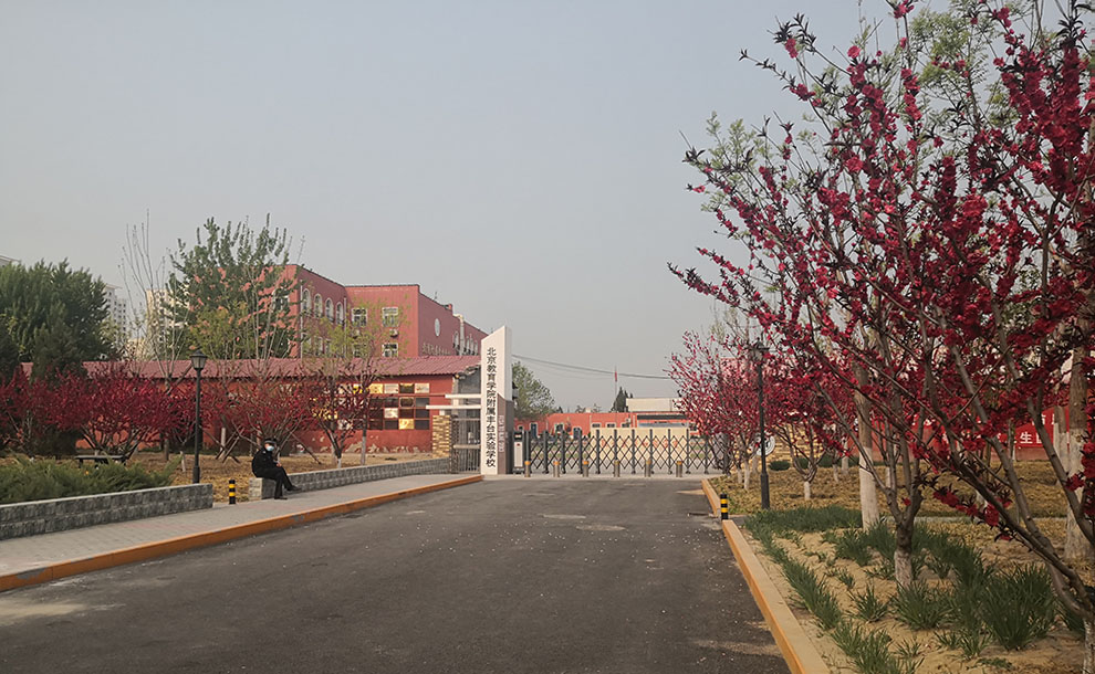 南校区东大门春花烂漫.jpg