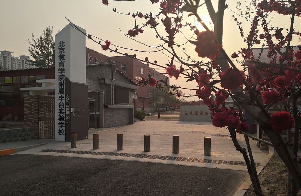 南校区东大门春花烂漫2.jpg